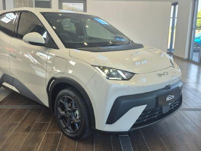 2026 BYD Dolphin Surf Dynamic