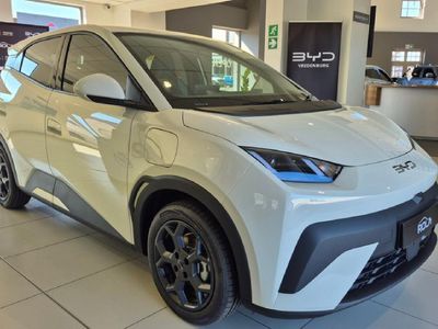 2026 BYD Dolphin Surf Dynamic