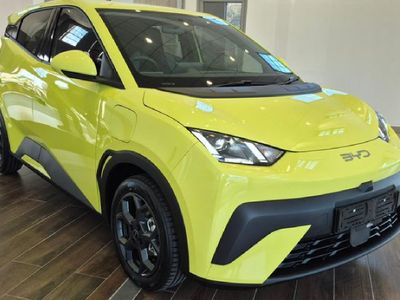2026 BYD Dolphin Surf Dynamic