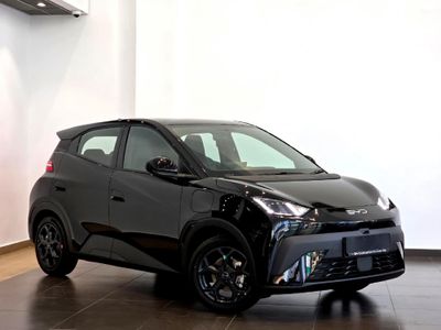 2026 BYD Dolphin Surf Dynamic