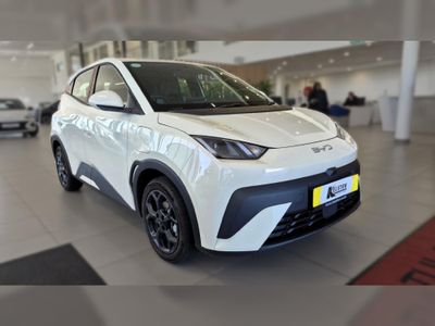 2026 BYD Dolphin Surf Dynamic