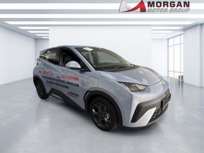 2026 BYD Dolphin Surf Dynamic