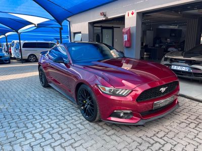 2019 Ford Mustang Fastback 289