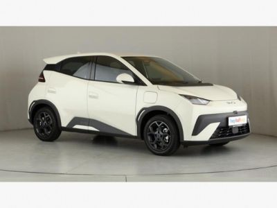 2026 BYD Dolphin Surf Dynamic