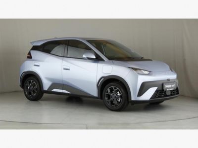 2026 BYD Dolphin Surf Dynamic