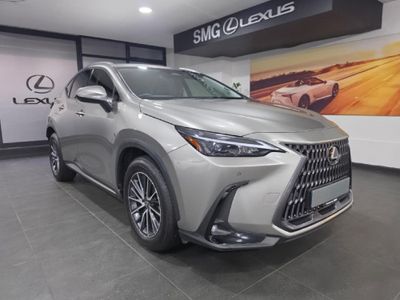 2025 Lexus NX 250 EX