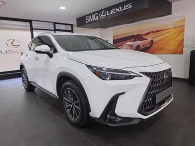 2025 Lexus NX 350h EX