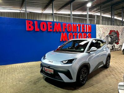 2026 BYD Dolphin Surf Dynamic