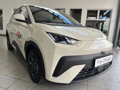 2026 BYD Dolphin Surf Dynamic