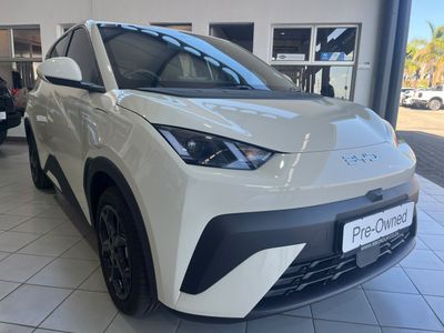 2026 BYD Dolphin Surf Dynamic