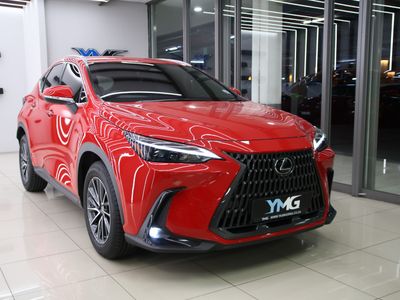 2024 Lexus NX 250 EX
