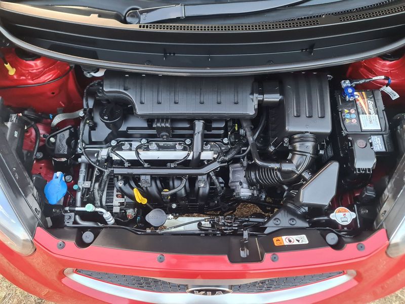 Used Kia Picanto 1.2 EX for sale in Gauteng Cars.co.za (ID9796181)