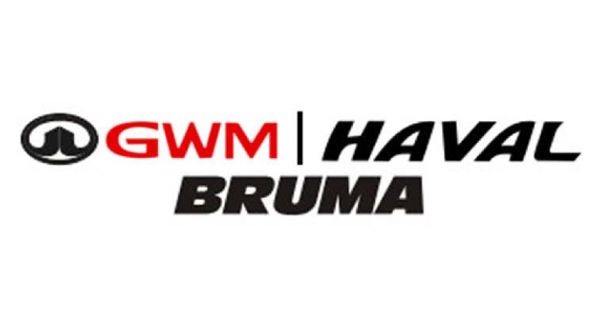 2026-GWM-P-Series-P300-24TD-LT-4x4-Double-Cab-Auto image:1