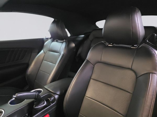 2021-Ford-Mustang-Ford-Mustang-50-GT-Roush-Convertible-auto image:7