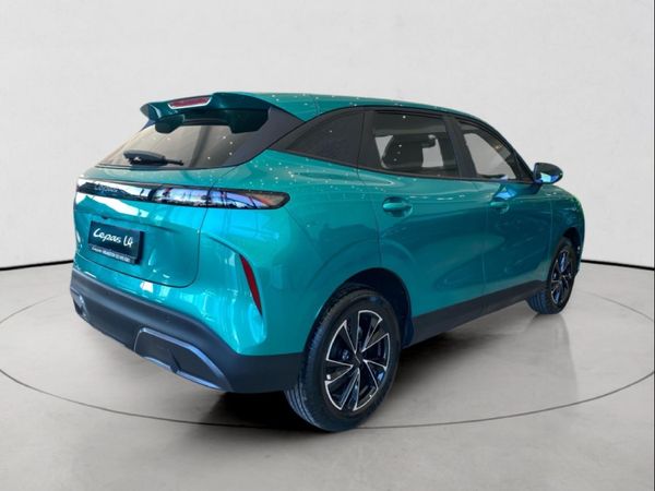 2026-Lepas-L4-15-Amur image:3