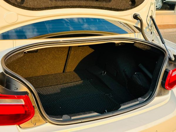 2015-BMW-2-Series-220i-Luxury-Line-Auto image:13