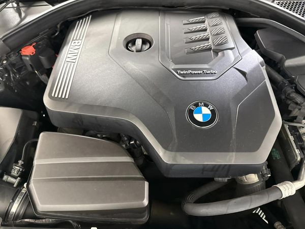 2020-BMW-3-Series-318i-Sport-Launch-Edition-Auto image:13