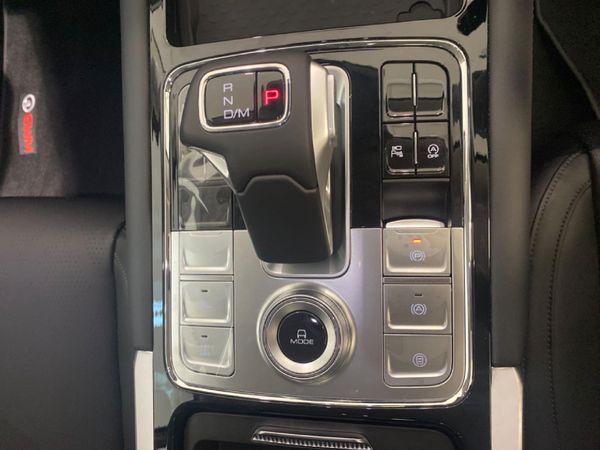 2025-GWM-P500-24T-Luxury-4x4 image:13