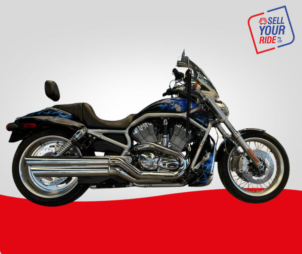 Used Harley Davidson V-rod Muscle for sale in Gauteng - Cars.co.za