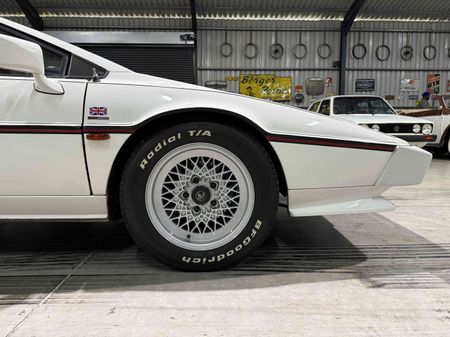 1983-Lotus-Esprit-S3_10