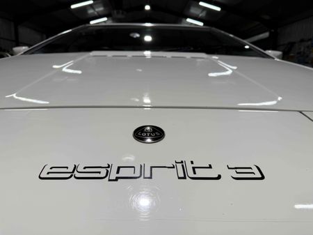 1983-Lotus-Esprit-S3_11