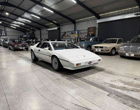 1983-Lotus-Esprit-S3_1