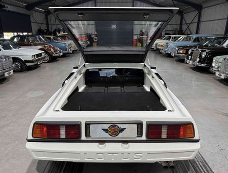 1983-Lotus-Esprit-S3_29