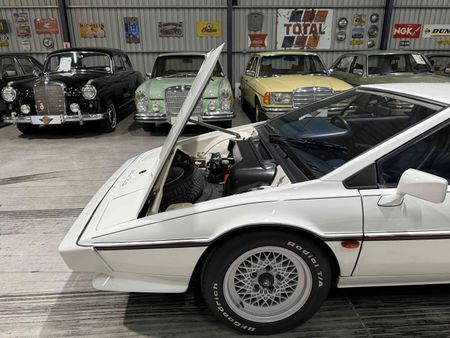 1983-Lotus-Esprit-S3_33