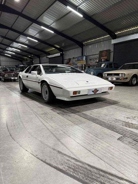 1983-Lotus-Esprit-S3_37