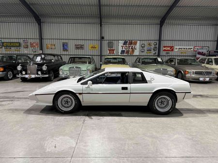 1983-Lotus-Esprit-S3_4