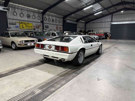 1983-Lotus-Esprit-S3_5