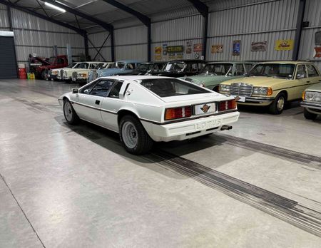 1983-Lotus-Esprit-S3_7