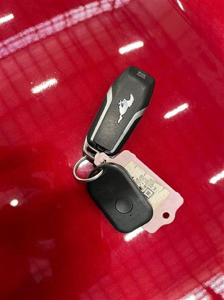 2019-Ford-Mustang-50-GT-Auto_16