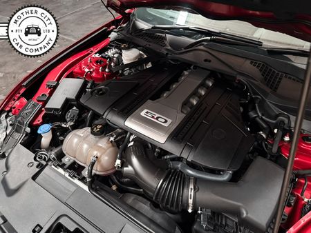 2020-Ford-Mustang-50-GT-Auto-55th-Year-Anniversary_14