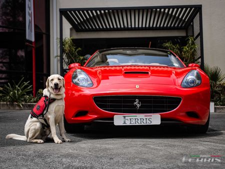 2010-Ferrari-California-22_4