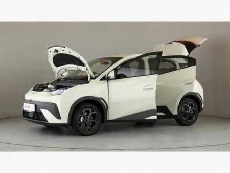 2025-BYD-Dolphin-Surf-Dynamic_9