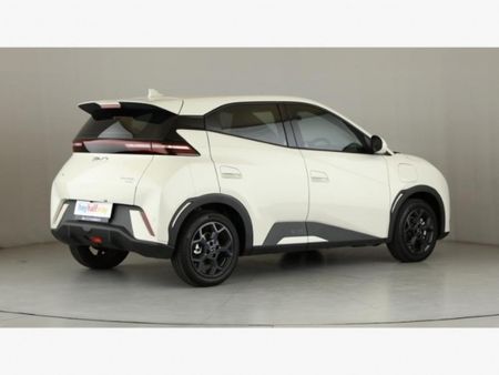 2025-BYD-Dolphin-Surf-Dynamic_2