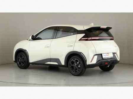 2025-BYD-Dolphin-Surf-Dynamic_7