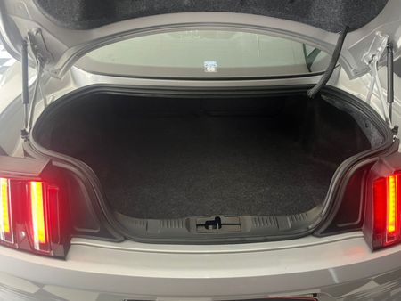2018-Ford-Mustang-50-GT-Auto_20