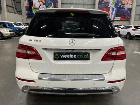 2013-Mercedes-Benz-ML-250-Bluetec_5