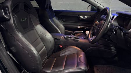 2019-Ford-Mustang-Bullitt-50-GT_20