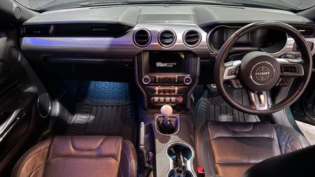2019-Ford-Mustang-Bullitt-50-GT_8