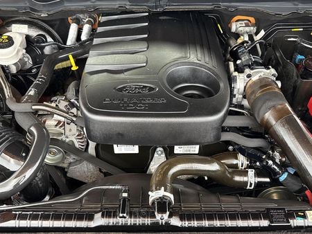 2019-Ford-Ranger-32-TDCi-Wildtrak-4x4-Auto-Double-Cab_12
