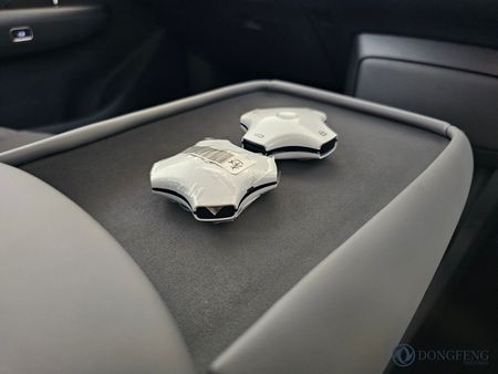 2026-Dongfeng-Nammi-06-E3_19