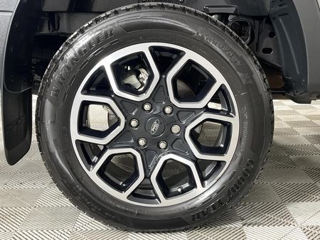 2024-Ford-Ranger-20-Bi-Turbo-Wildtrak-Double-Cab-Auto_5