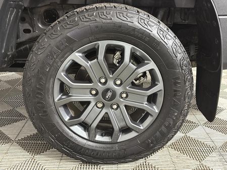 2025-Ford-Ranger-20-Bi-Turbo-Wildtrak-Double-Cab-Auto_5