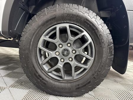 2025-Ford-Ranger-20D-XLT-HR-Double-Cab-Auto_6