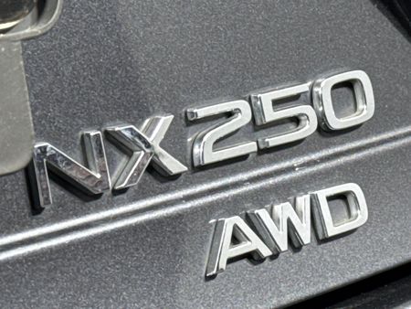 2023-Lexus-NX-250-EX_11