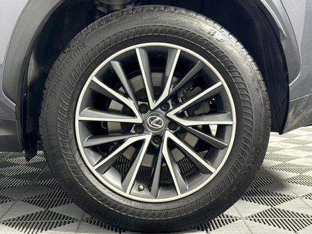 2023-Lexus-NX-250-EX_6