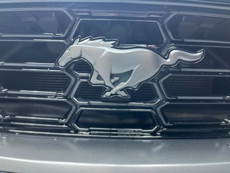 2026-Ford-Mustang-Dark-Horse-Fastback_13